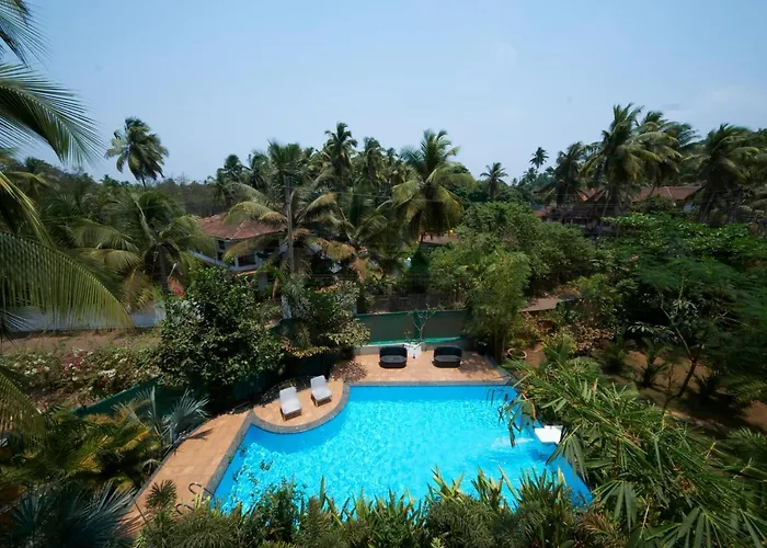 Fig House Anjuna-Chapora Road , Siolim 1Bhk Suite