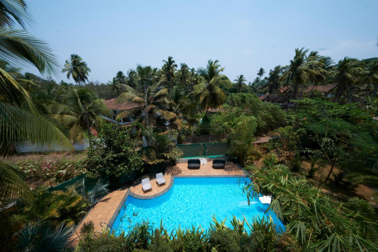Fig House Anjuna-chapora Road , Siolim 1bhk Oxel