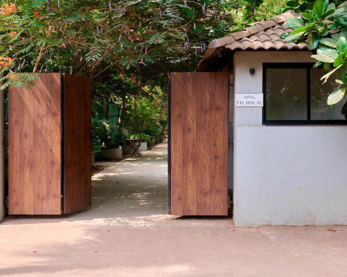 Fig House Anjuna-chapora Road , Siolim 1bhk Apartment